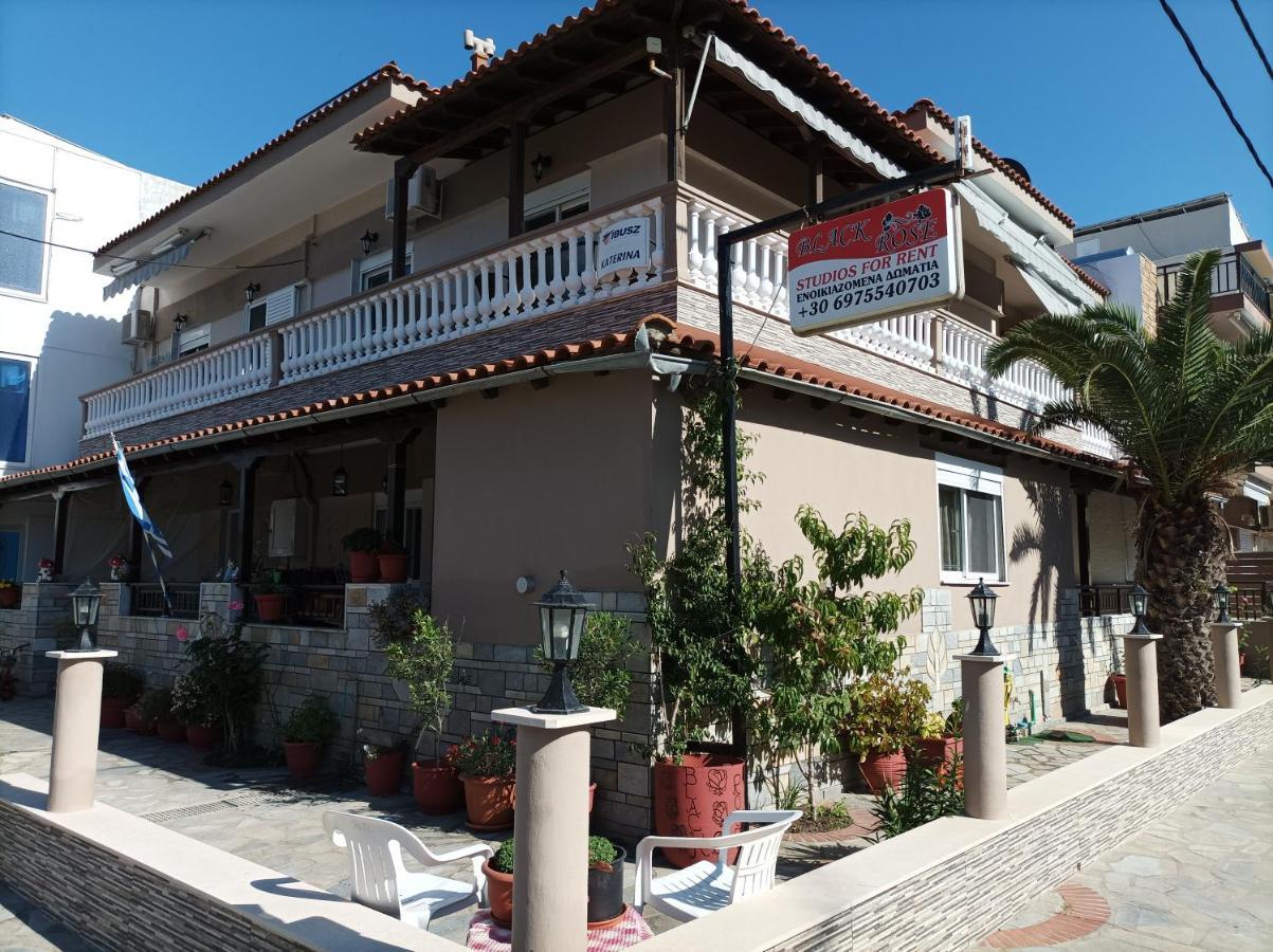 Black Rose Sarti Exterior photo